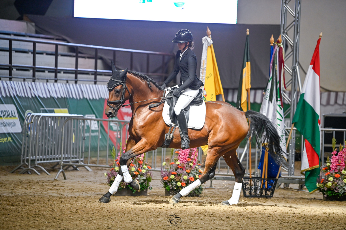 Forintos Lövész a díjlovas bemutatón